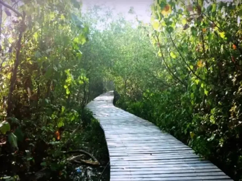 Surabaya Through the Lens: Explore the City’s Most Photogenic Spots